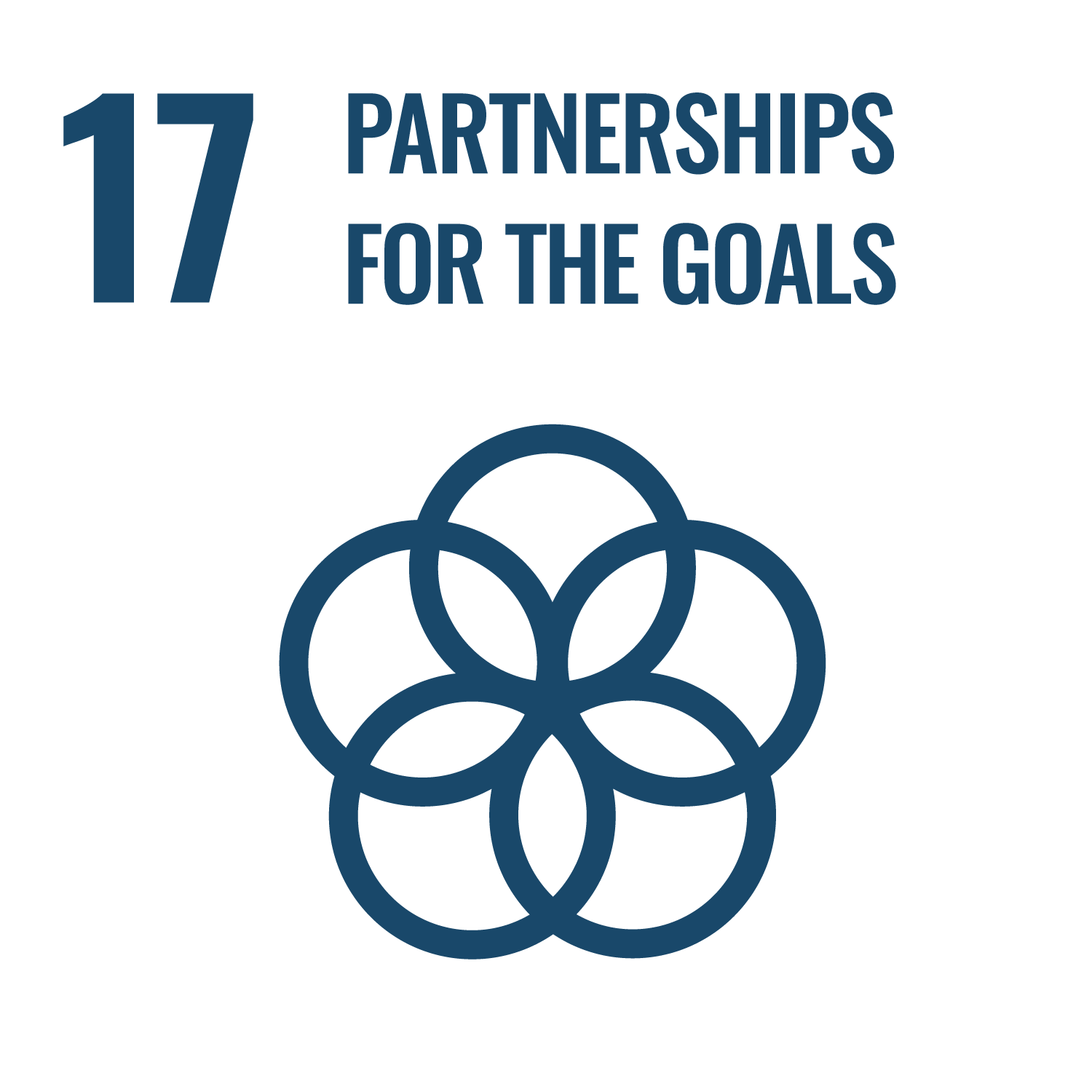 SDG 17 – Partnerships